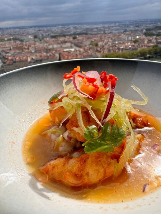 syue4ooda9z9vp2uo2024091715